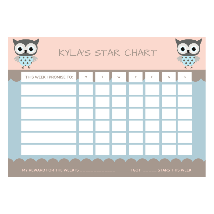 magnetic chore chart pink owl