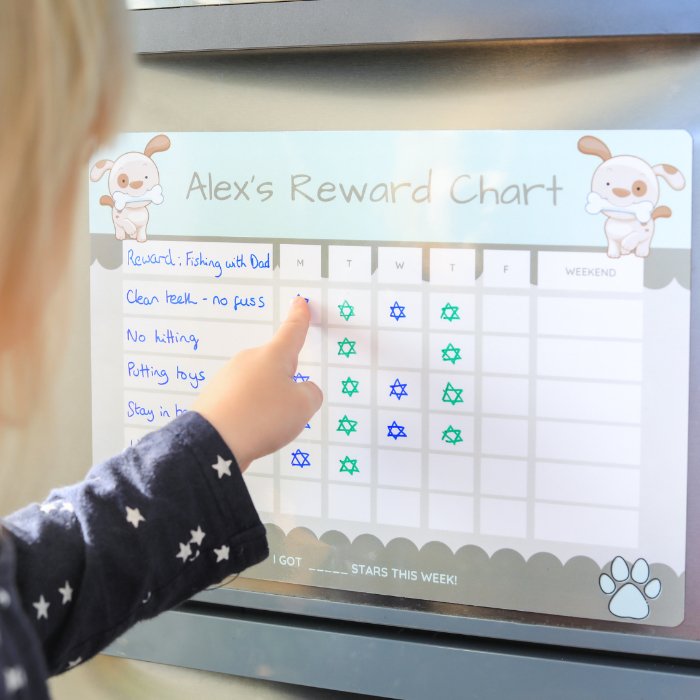 Magnetic chore chart animals