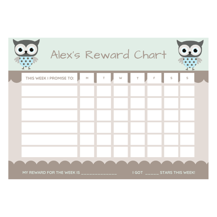 magnetic chore chart fawn owl