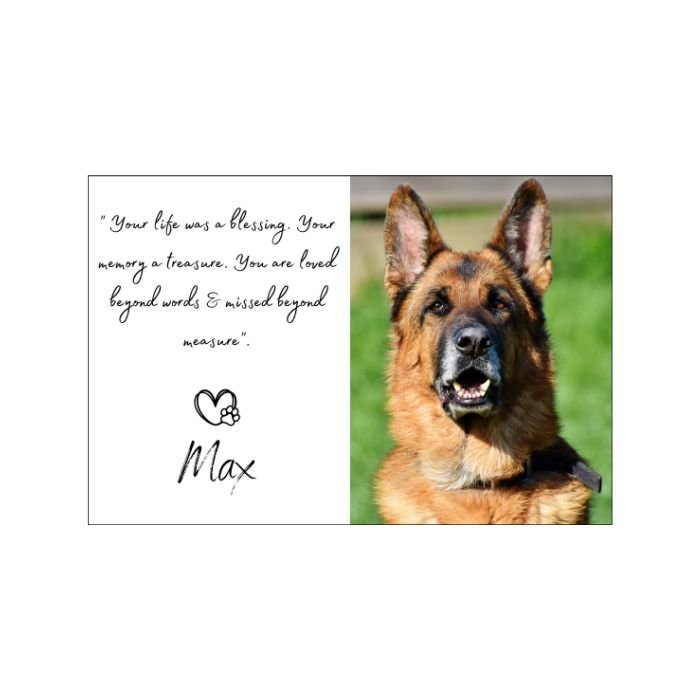 Memorial pet Magnet dog