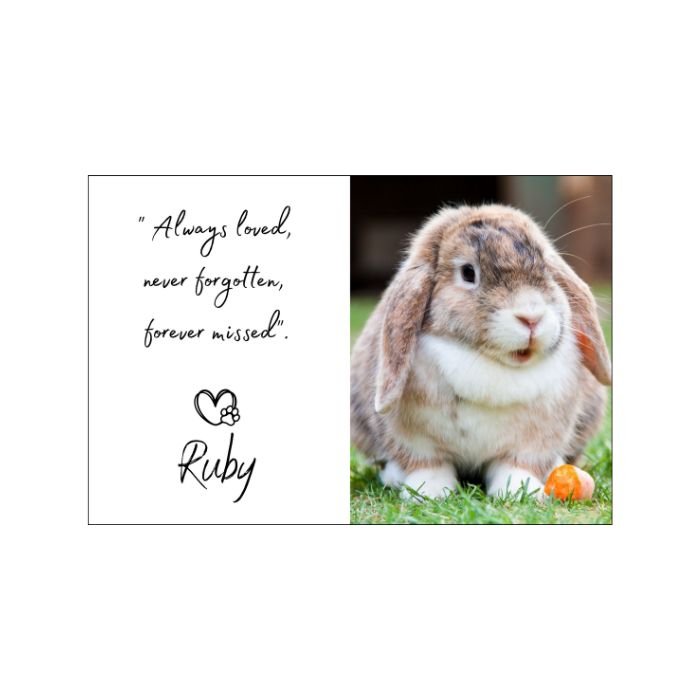 Memorial pet Magnet rabbit