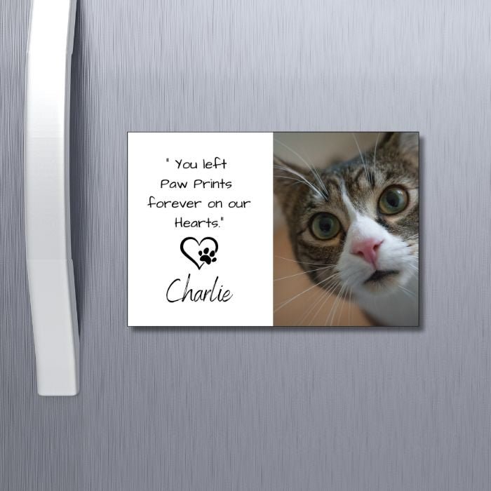 Memorial pet Magnet cat