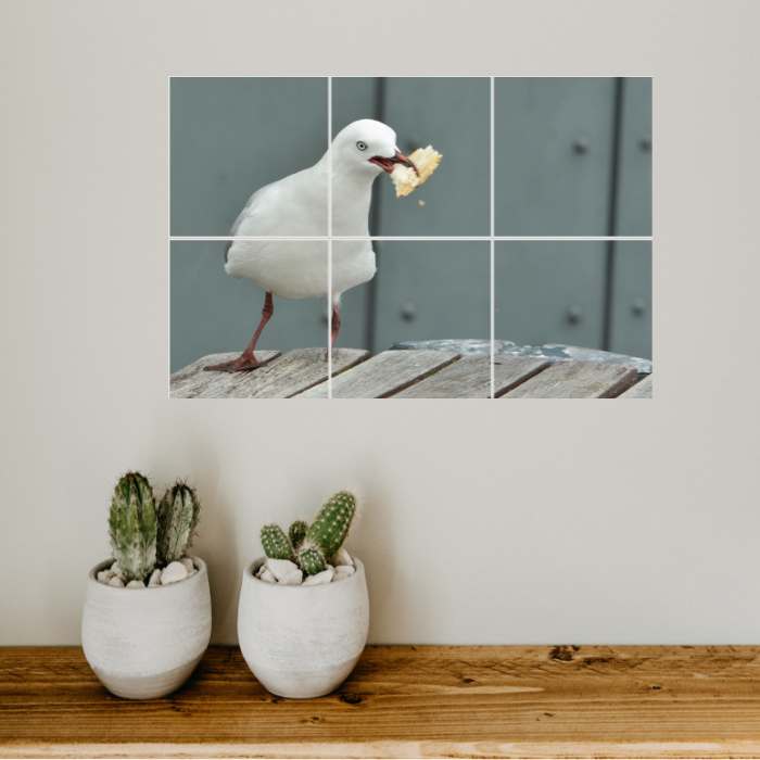 Photo Decal 6 panel spilt Seagull