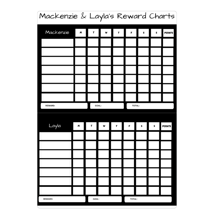 magnetic sibling reward chart black