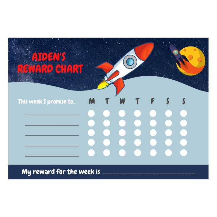 space reward chart rocket
