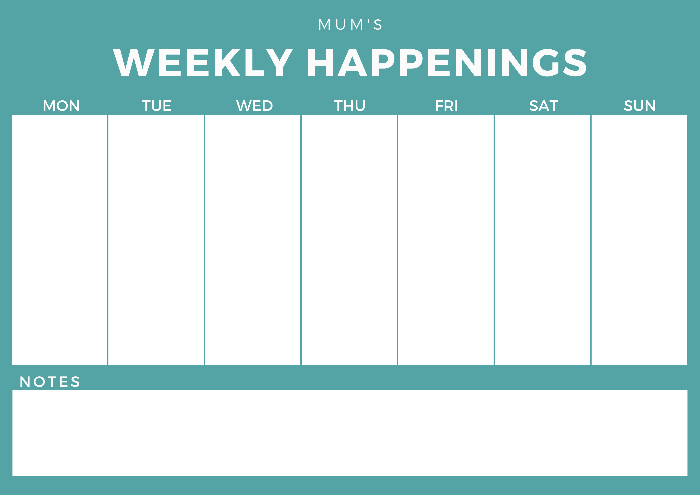 magnetic weekly planner teal