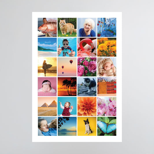 Collage of various photos including animals, landscapes, and people on a white background printed on removable decal