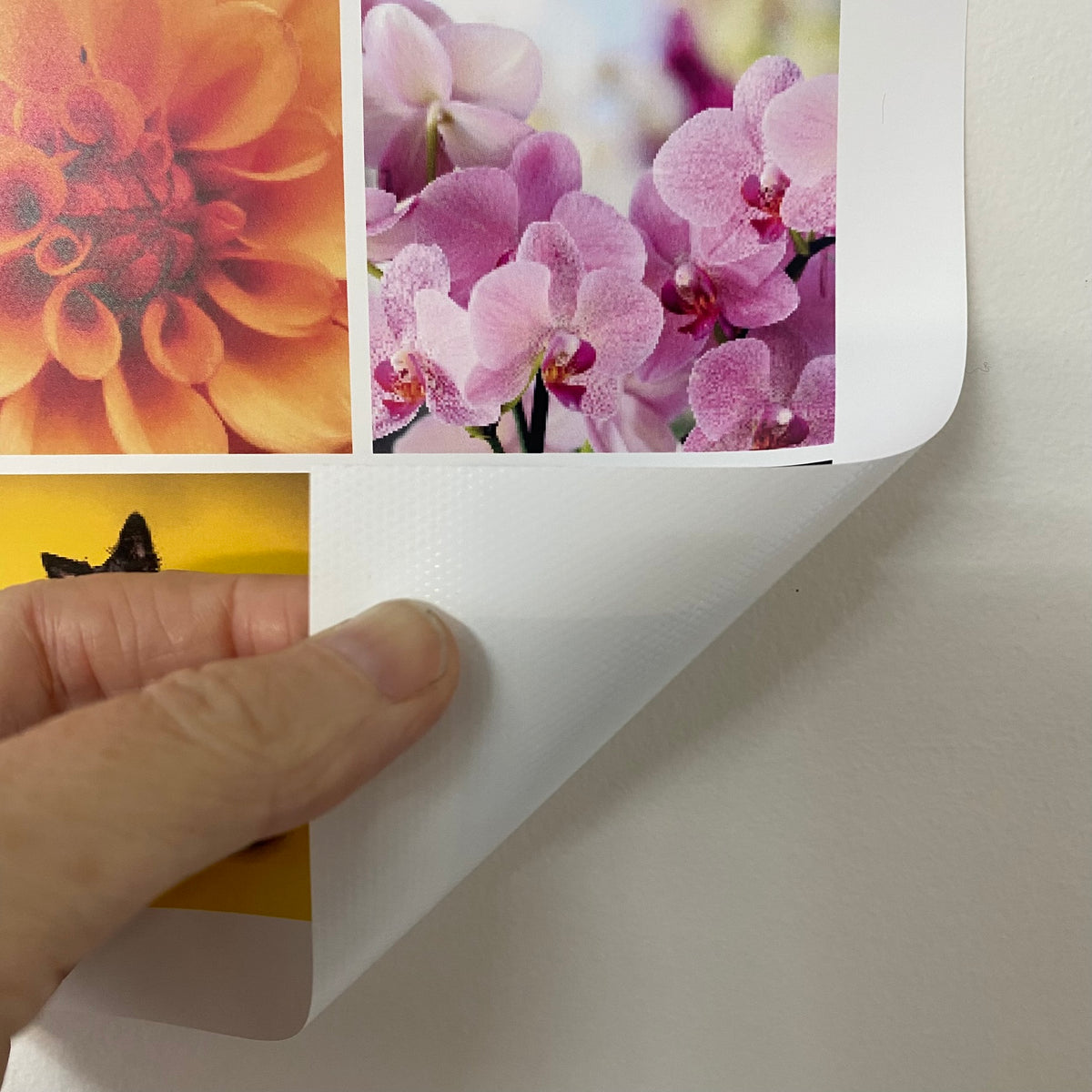 Photo Poster Removable Decal – Magnapix