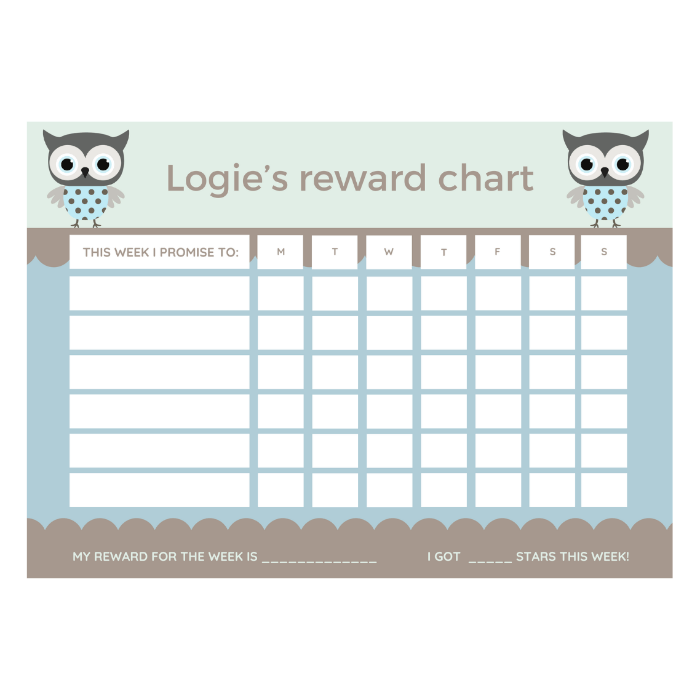 magnetic chore chart blue owl