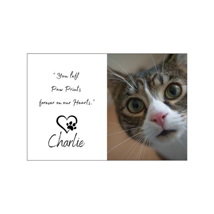 Memorial pet Magnet cat poem